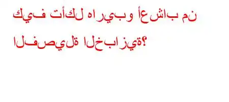 كيف تأكل هاريبو أعشاب من الفصيلة الخبازية؟